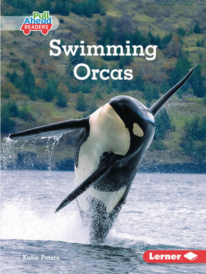 cover image of Swimming Orcas